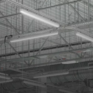 Czyszczenie elementów